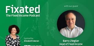 PODCAST: Hybrids with Barry Ziegler - Head of Fixed Income at Bell Potter Securities