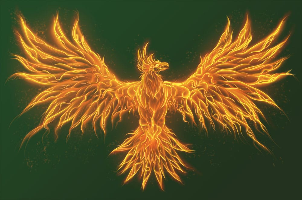 Bond Market - Rising Like A Phoenix From The Ashes? - Fixed Income News ...