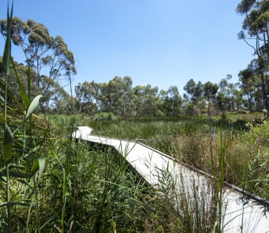 la trobe university bond