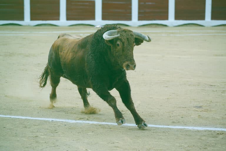 Unusual Bull Market Set To Continue